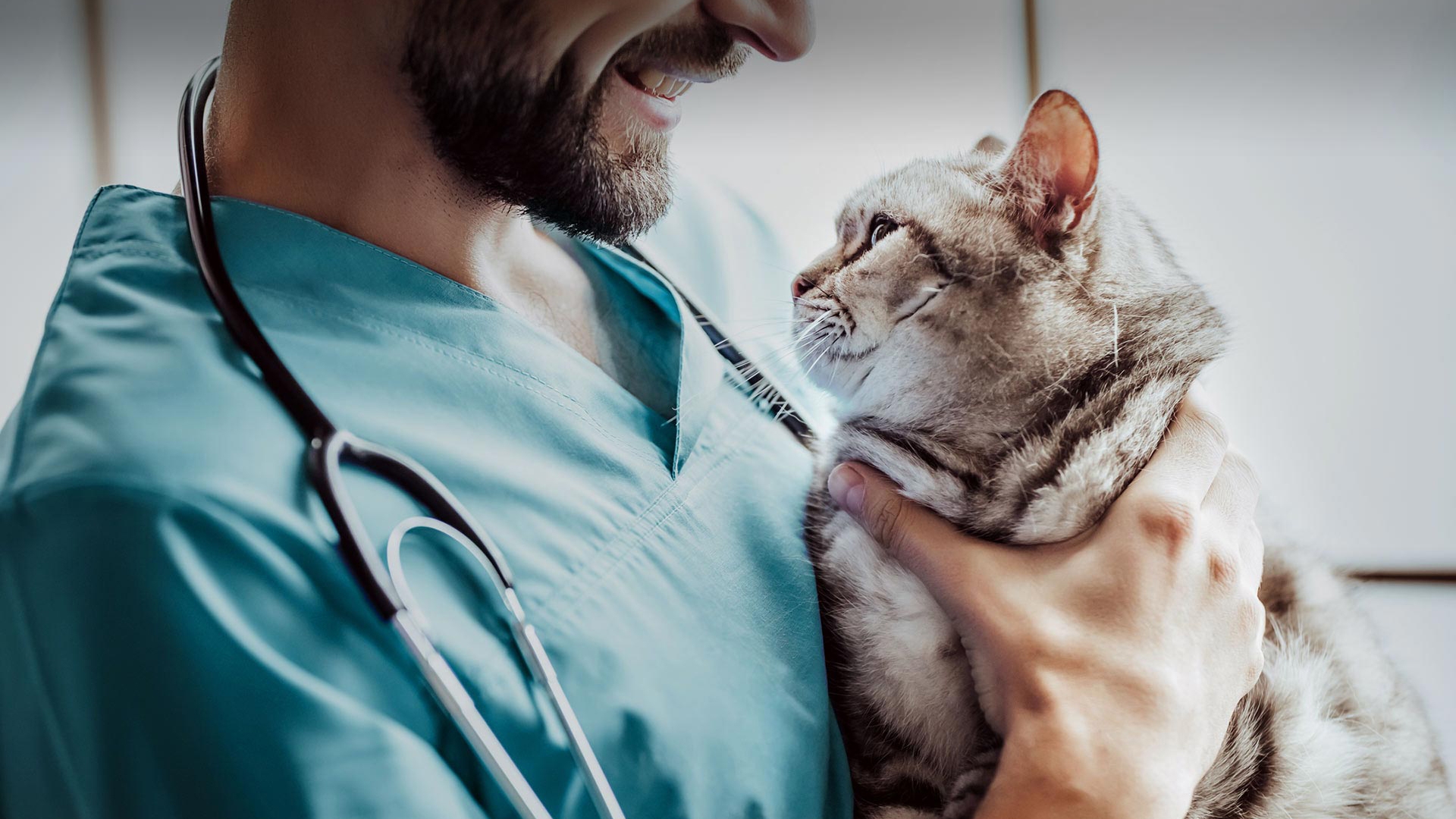 Gaziosmanpaşa Veteriner